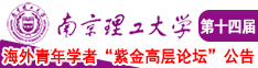啊啊啊啊操AV南京理工大学第十四届海外青年学者紫金论坛诚邀海内外英才！